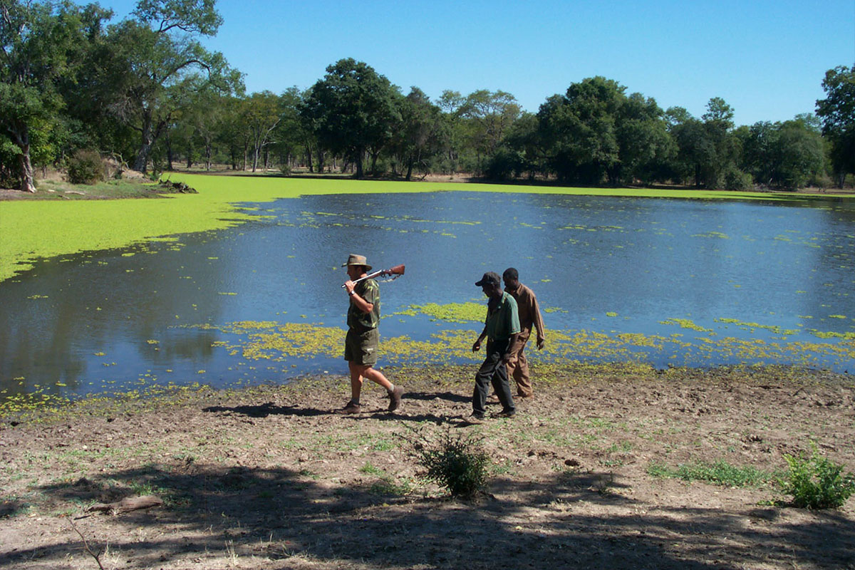 <b>AFRICAN HUNTING ADVENTURES</b>