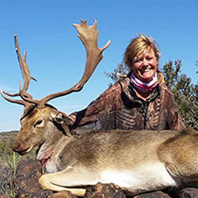 Fallow deer