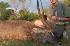 WATERBUCK